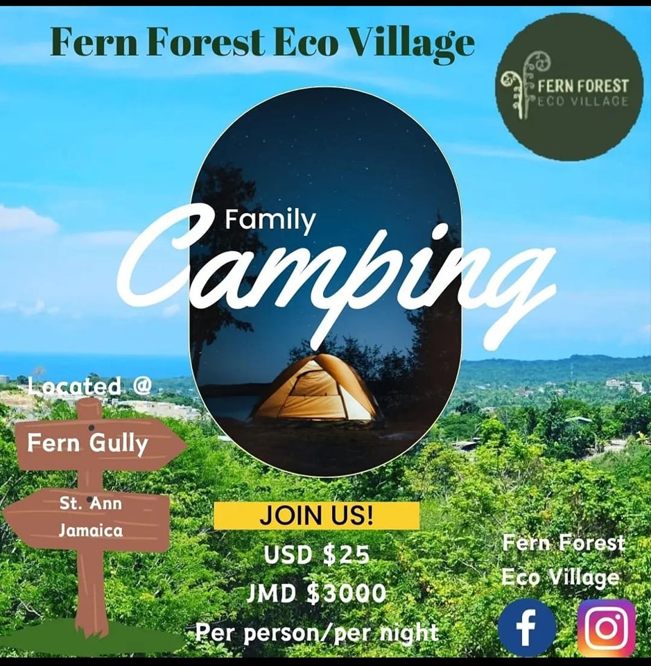 Fern Forest Eco Village Camping
